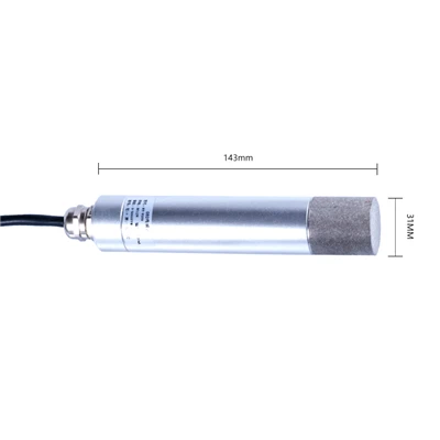 SENSOR H2S RY-CH2S